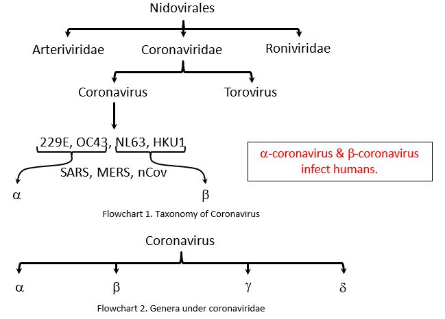 Novel Coronavirus Disease Covid 19 An Old Family With A New Disease Epomedicine