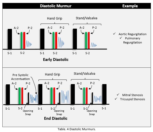 summary of cardiac murmurs