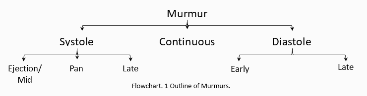 murmur types
