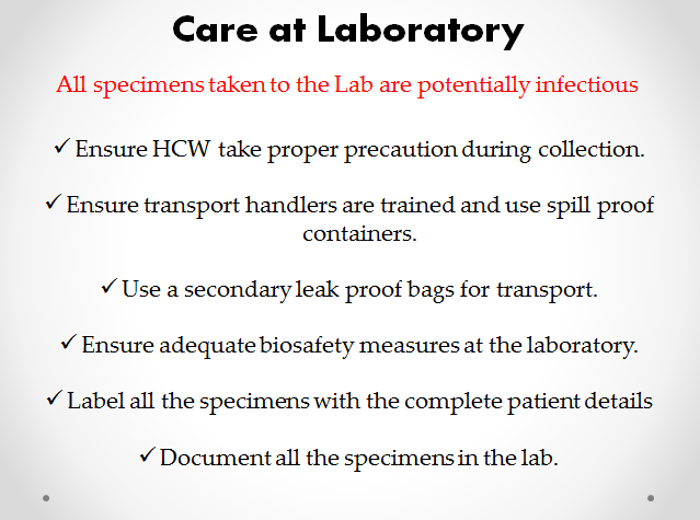 coronavirus lab care