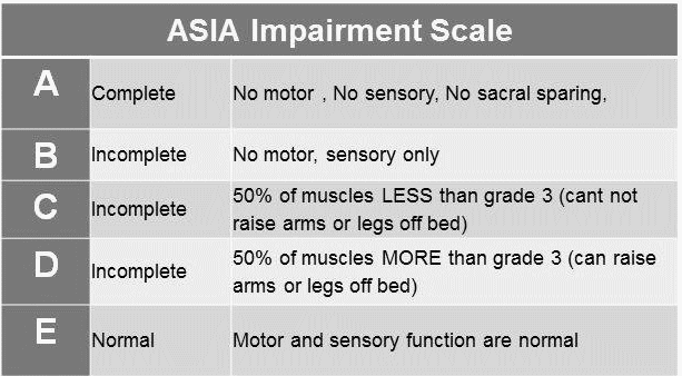 asia impairment scale