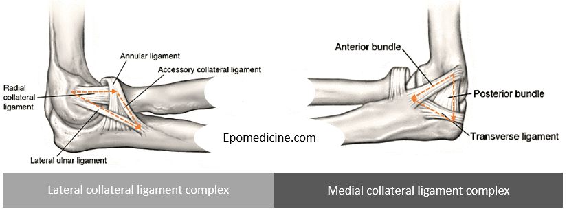 head of radius annular ligament