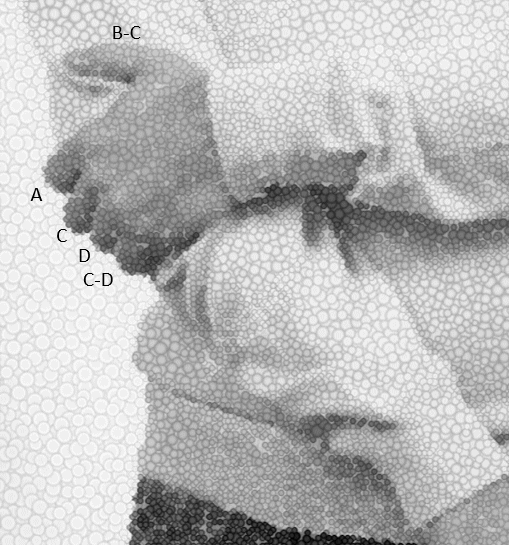 forearm extensor mnemonic