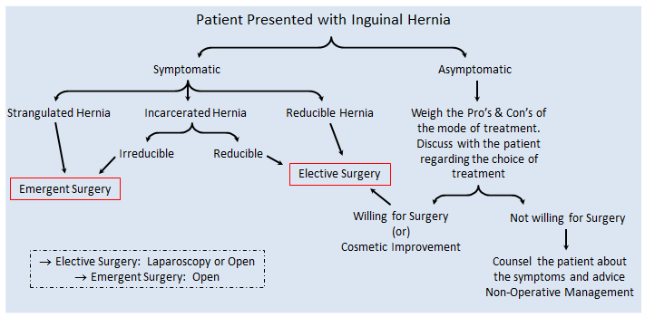 inguinal hernia algorithm