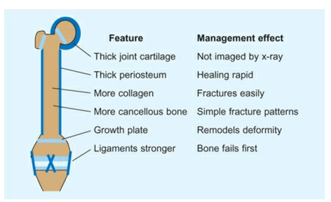 pediatric bone