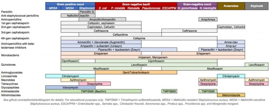 Antibiotic Spectrums Cheat Sheet Epomedicine Antibiotic Spectrums Cheat Sheet Epomedicine