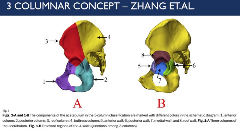 acetabulum three column