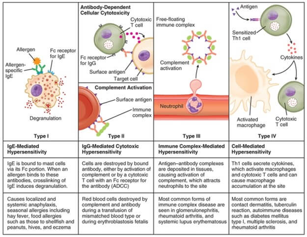 hypersensitivity reactions