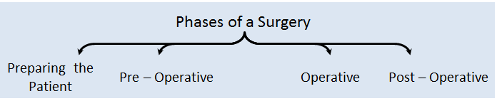 Phases of surgery