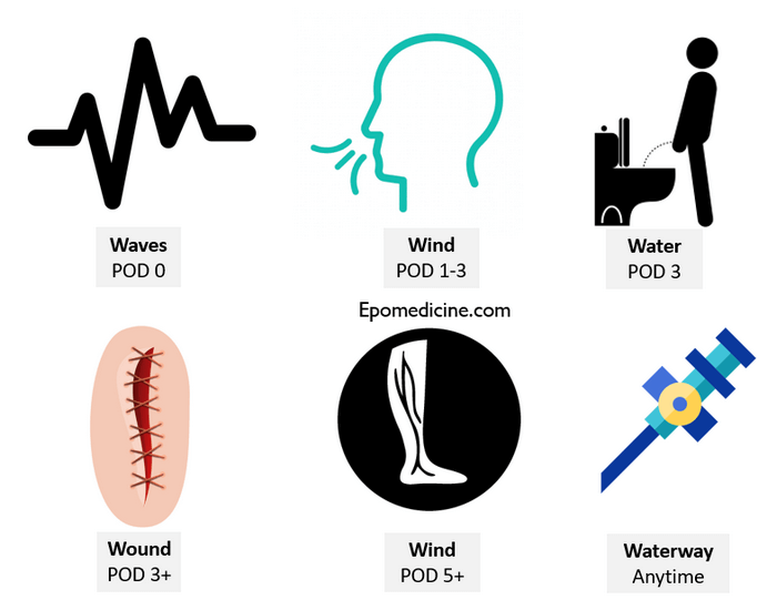 Postoperative fever - Rule of W (Mnemonic)