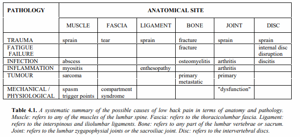 Low Back Pain Diagnosis - Simplified approach | Epomedicine