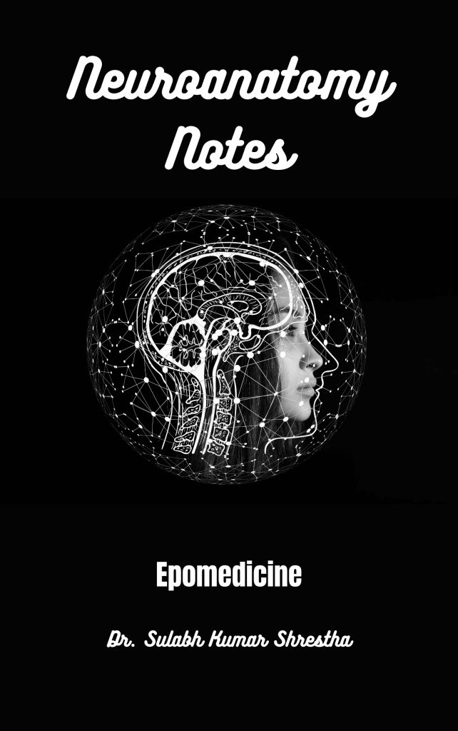 neuroanatomy notes cover