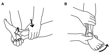 Ankle Orthopaedic Test: Talar tilt