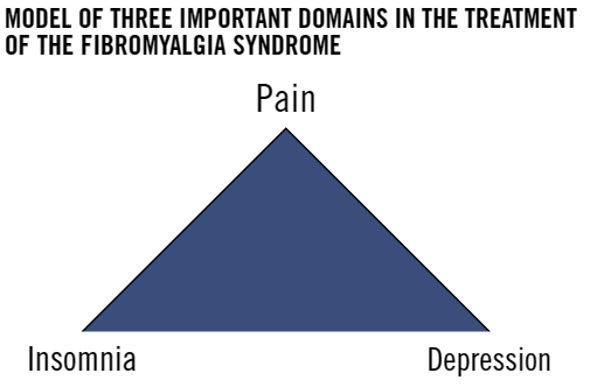 fibromyalgia domains
