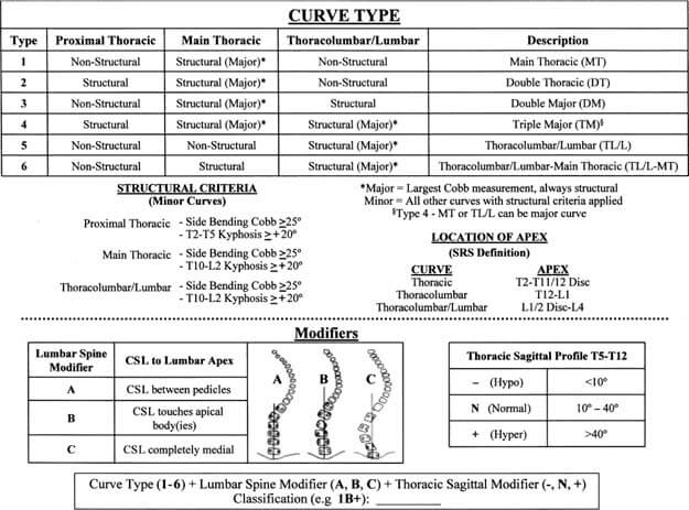 Lumbar (A), Thoracolumbar (B) and Thoracic (C) Boston Brace.