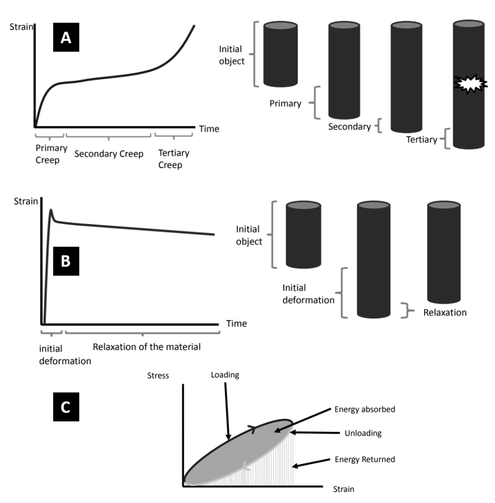 creep, stress relaxation, hysteresis