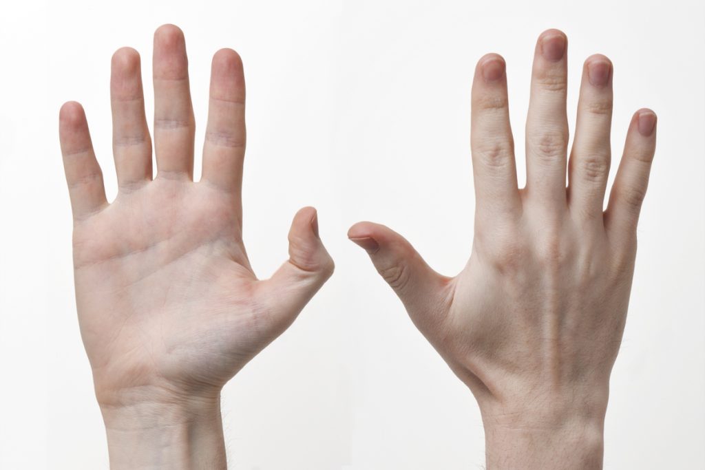 human hands