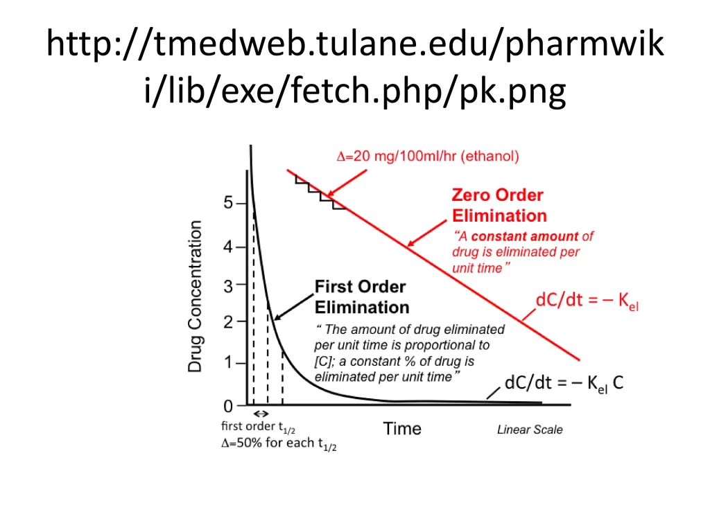 drug elimination kinetics