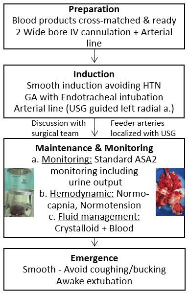 AVM anesthetic algorithm